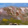 West of Ireland Sheep Achill Ireland Wild Athlantic Way Irish Hills