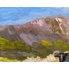 West of Ireland Sheep Achill Ireland Wild Athlantic Way Irish Hills