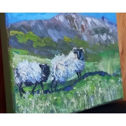 West of Ireland Sheep Achill Ireland Wild Athlantic Way Irish Hills