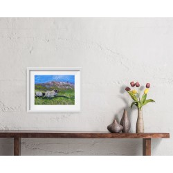 West of Ireland Sheep Achill Ireland Wild Athlantic Way Irish Hills