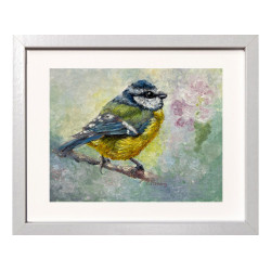 Blue Tit