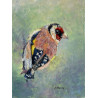 Goldfinch realistic painting in acrylics on paper