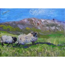 West of Ireland Sheep Achill Ireland Wild Athlantic Way Irish Hills