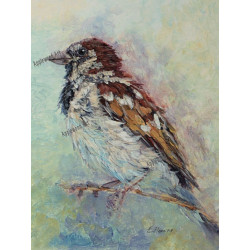 Sparrow