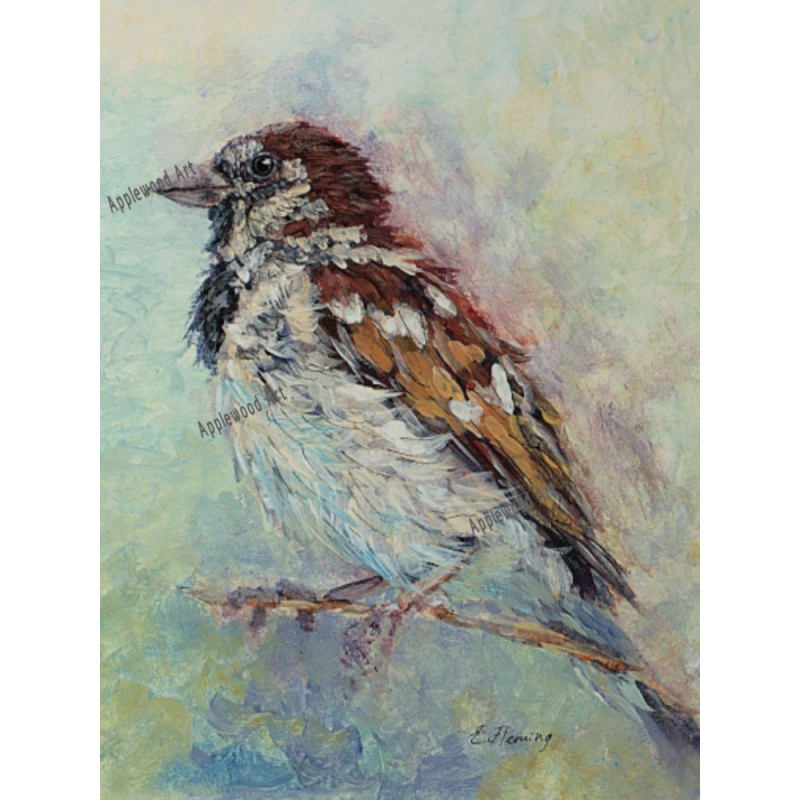 Sparrow