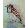 Sparrow