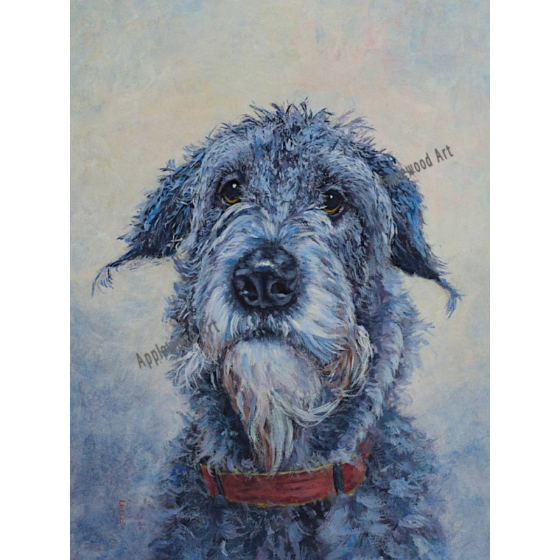 Irish wolfhound