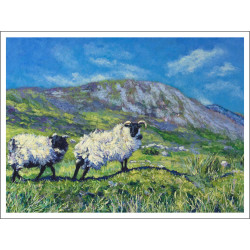 Irish Sheep on the Green Hills of Rural Western Ireland