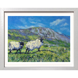 Irish Sheep on the Green Hills of Rural Western Ireland