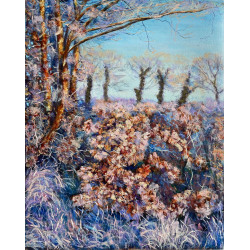 Frosty hedge sparkling in the light of the rising sun