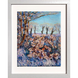 Trees and Hedges in Early Morning Sunlight on Frosty Winter Day.