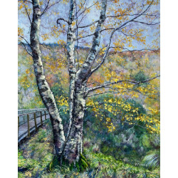 Strikingly Beautiful Silver Birch Tree with Autumny Bright Leaves