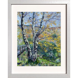 Strikingly Beautiful Silver Birch Tree with Autumny Bright Leaves