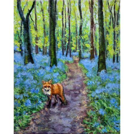Spring Irish wood with bluebells and a ginger fox on the path