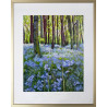 Spring Forest with Bluebells, Young Bright Green Leaves and Sunlight