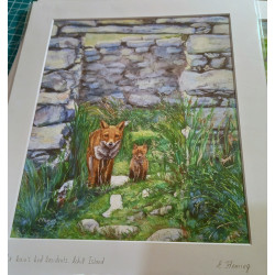 Ruined Cottage With Red Foxes in the West of Ireland Fine Art Grint