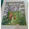 Ruined Cottage With Red Foxes in the West of Ireland Fine Art Grint