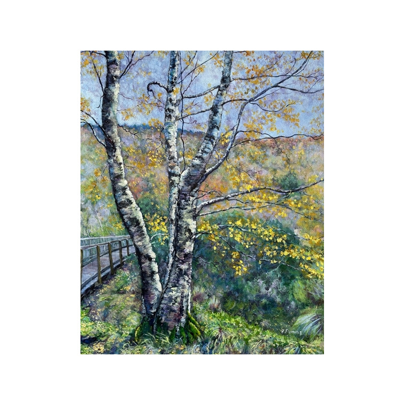 Giclèe print of autumn silver birch tree in the mountains
