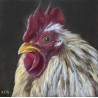 Fine Art Print of a Beautiful Light Colour Rooster