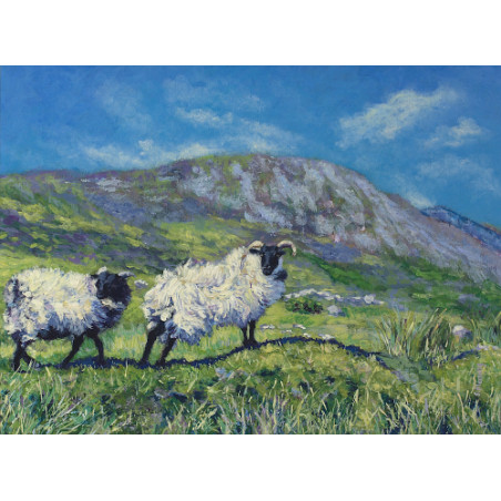 woolly Irish sheep on green hills