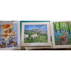 Irish Sheep on the Green Hills of Rural Western Ireland Giclèe Print