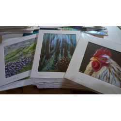 Green Fields and Stone Walls of West of Ireland Giclèe Print
