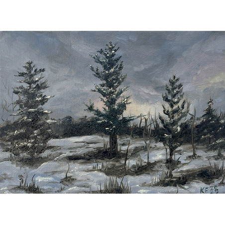 Forest with snow in the evening