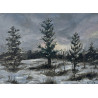 Forest with snow in the evening