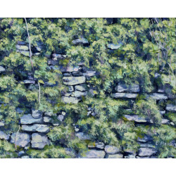 Ruins of an Stone Cottage Wall Overgrown with Beautiful Ivy