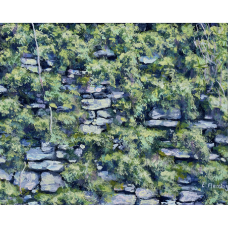 Ruins of an Stone Cottage Wall Overgrown with Beautiful Ivy