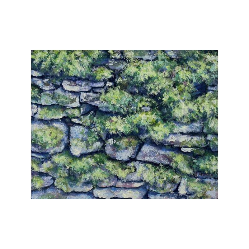 Ruins of an Stone Cottage Wall Being Taken Over by Beautiful Ivy